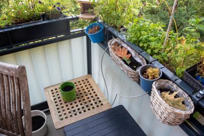 Blick auf den Balkon mit vielen Blumenkästen