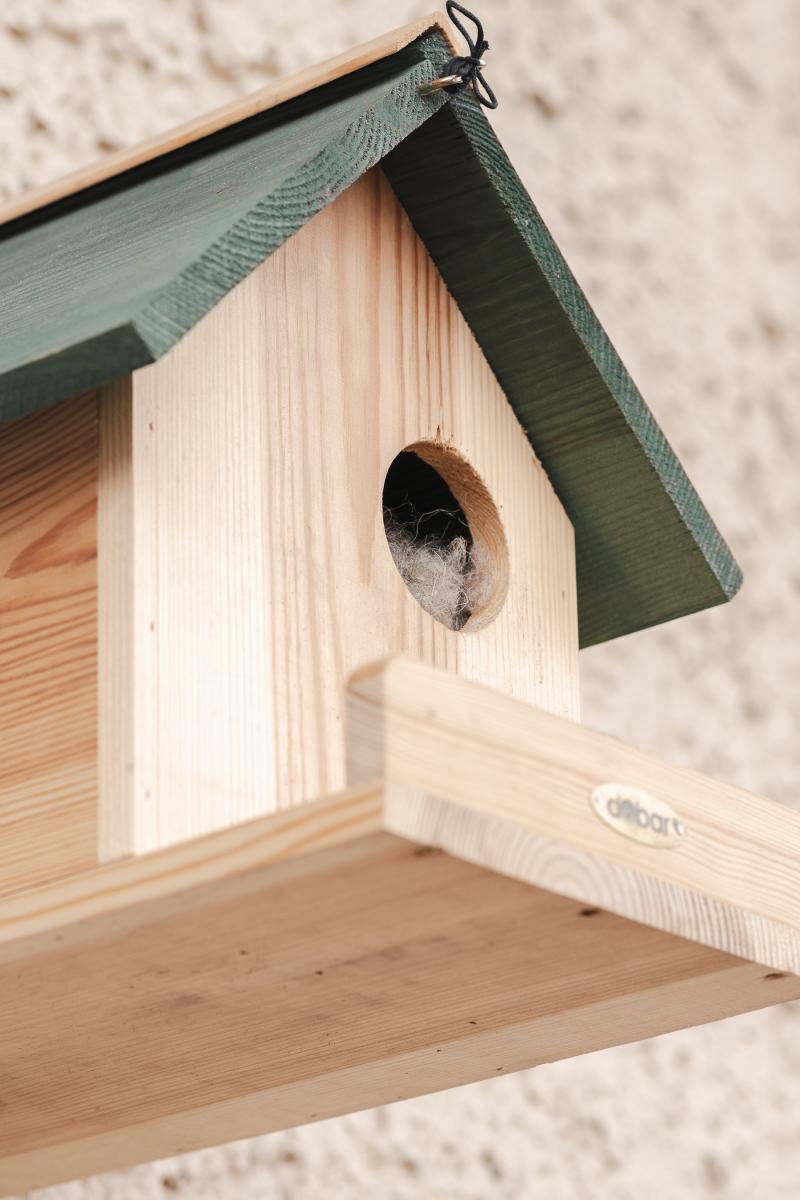 Blick auf das an der Hauswand hängende Holzhaus. Aus dem Inneren ist viel aufgeplusterter Filz zu erkennen.