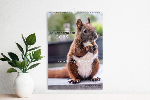 Balkonhörnchen-Kalender